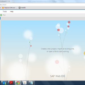 sap4