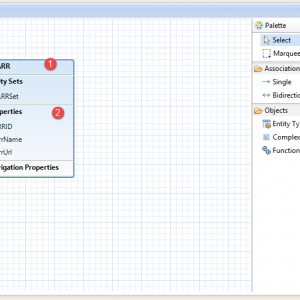 Add Entity Name and Properties