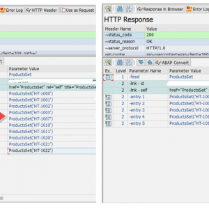 $top and $skip Query option in SAP OData Service top and skip Qurey Option