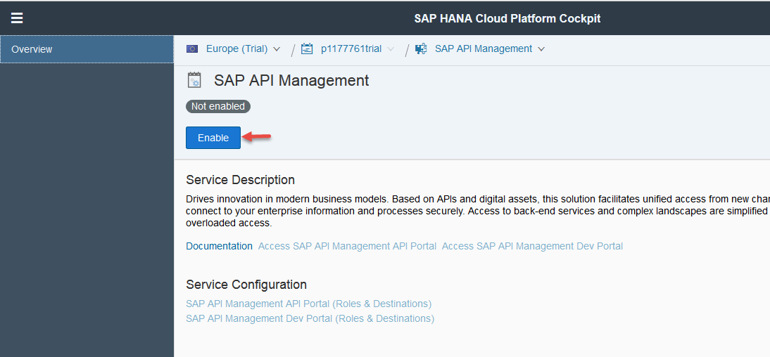 SAP API Management Dashboard