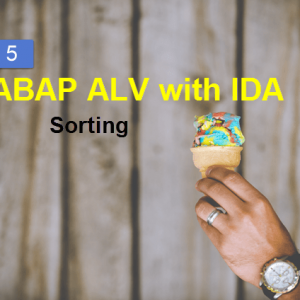 ALV IDA Sorting