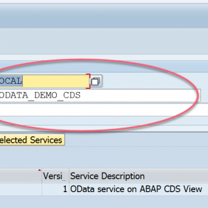 Activate ABAP CDS View OData Service