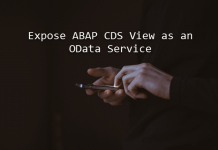 CDS View OData Image