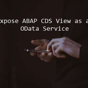 CDS_View_OData_Service