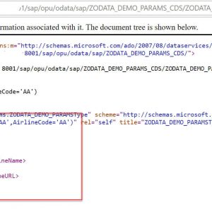 OData Service for ABAP CDS Views_Output_Example1