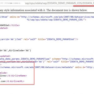 OData Service for ABAP CDS Views_Output_Example2