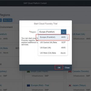 SAP Cloud Foundry_3