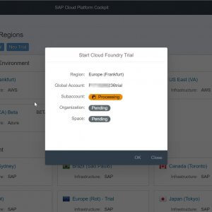 SAP Cloud Foundry_4