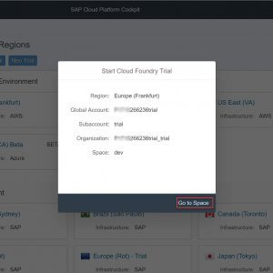 SAP Cloud Foundry_5
