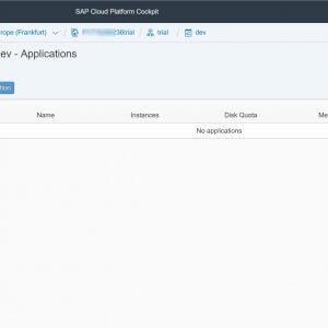 SAP Cloud Foundry_6