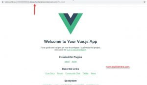 How to deploy Vue.js applications in SAP BTP Deploy VueJS application in SAP Cloud Platform Step9