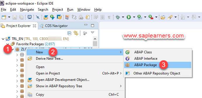 Create ABAP Package in SAP Cloud Platform
