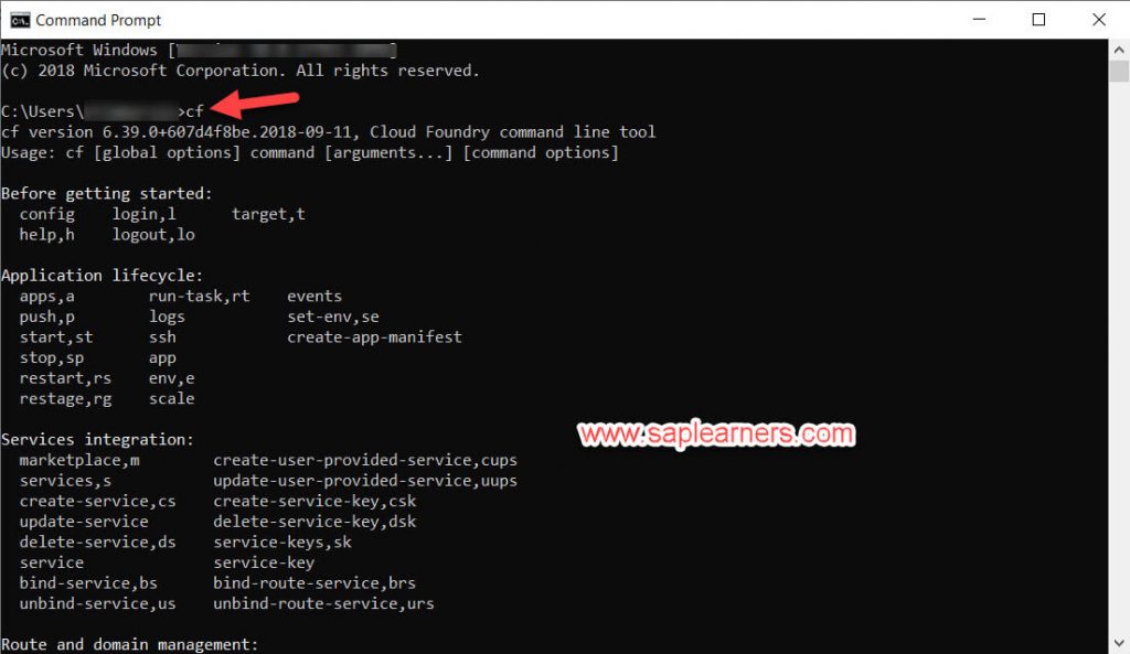 Download and Install Cloud Foundry CLI Step6