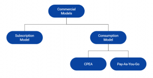 SAP BTP Licensing Models