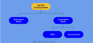 SAP BTP Licensing Models_thumbnail