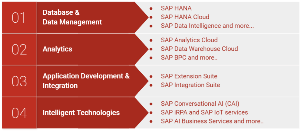 SAP BTP Pillars
