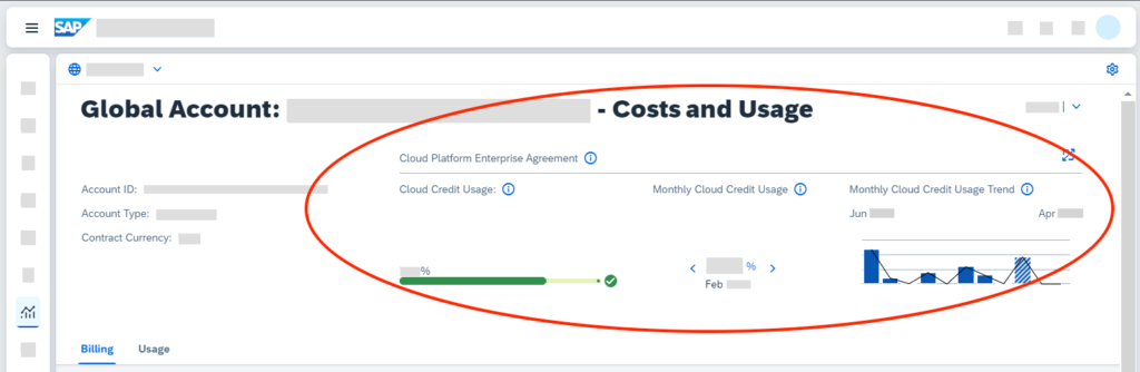 Costs and Usage CPEA for SAP BTP