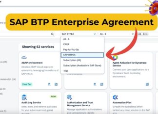 SAP BTP Enterprise Agreement